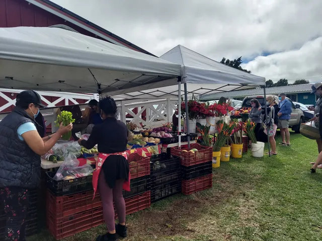 Waimea Town Market at Parker School