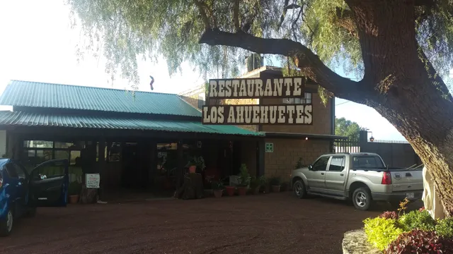 Los Ahuehuetes