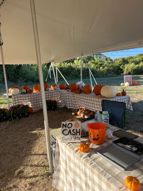 Holiday & Harvest Christmas Trees - Barton Creek Mall