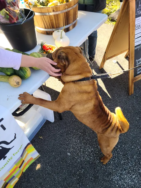 Geauga Fresh Farmers Market