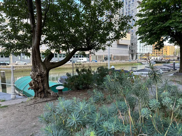 Het kleinste stadspark van Rotterdam