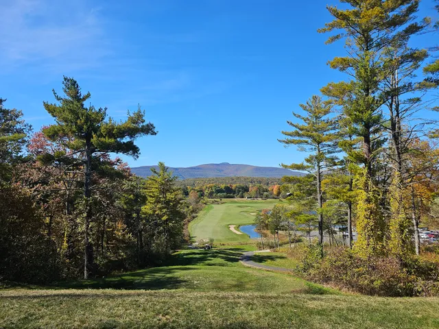 The Swan Country Club