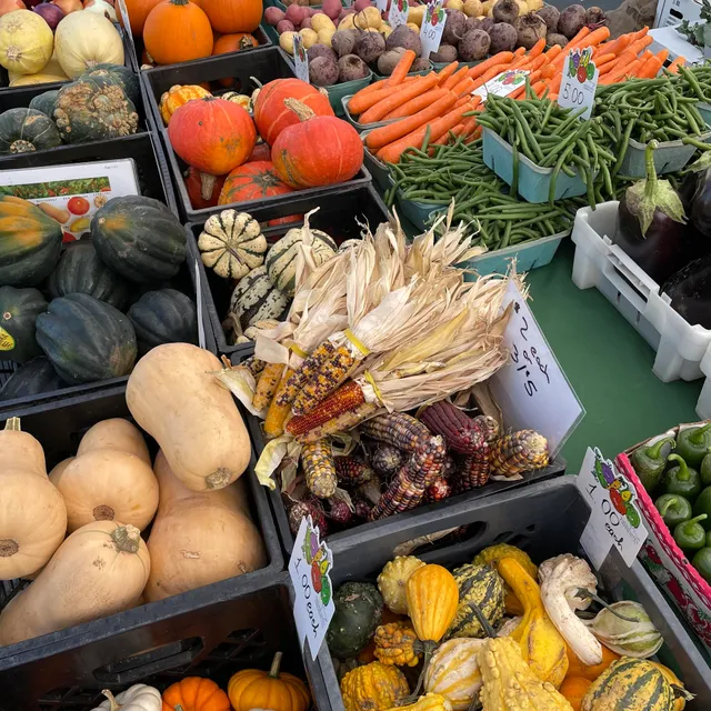 Shoreview Farmers Market