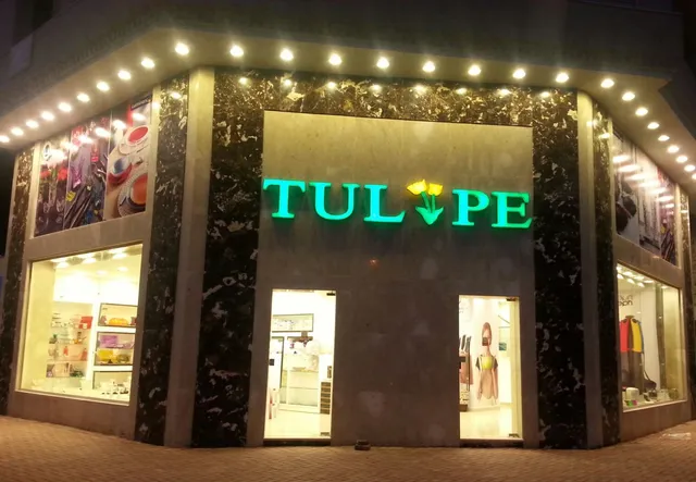 Tulipe - Mohandessin