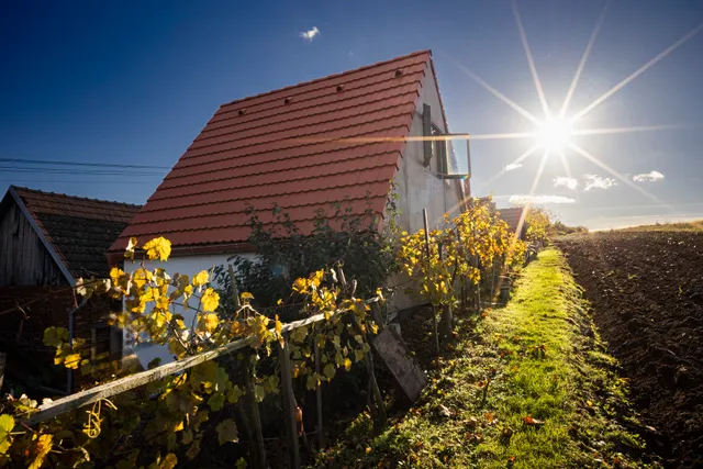 Sklípek Na Císařské, ubytování s pohárkem vína