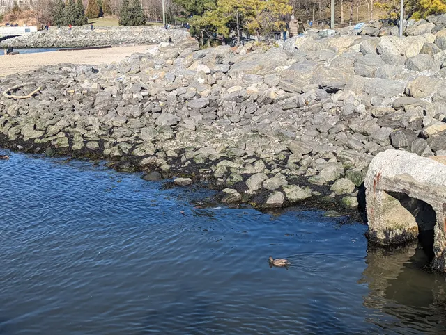 The Picnic Peninsula Barbeque Area