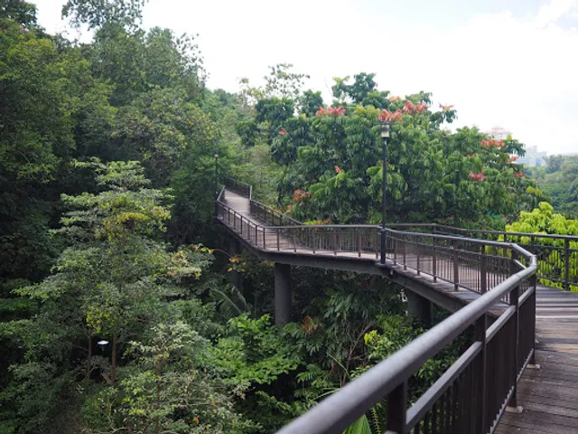 Canopy Walk