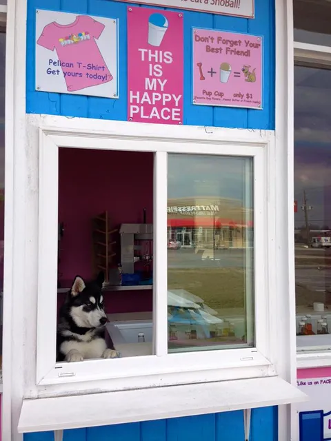 Pelican's Snoballs of Goldsboro NC