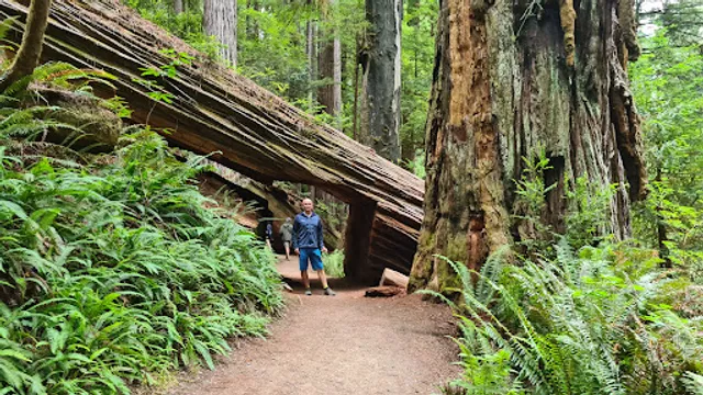 Revelation Loop Trail