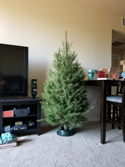 North Pole Christmas Trees