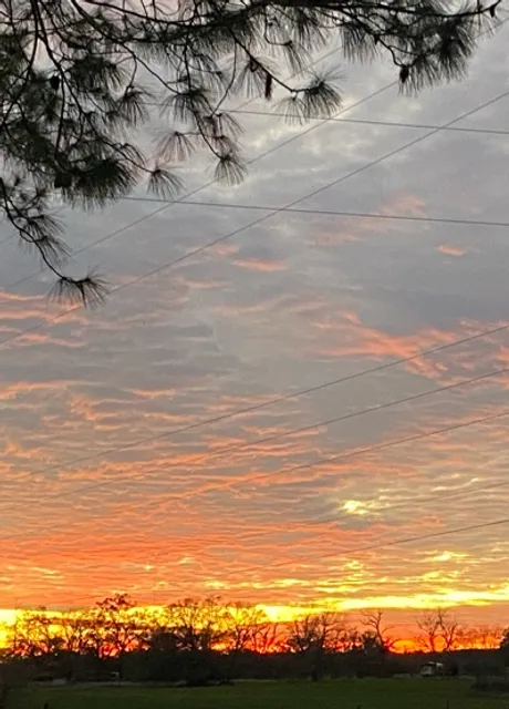 Florida Gateway Fairgrounds