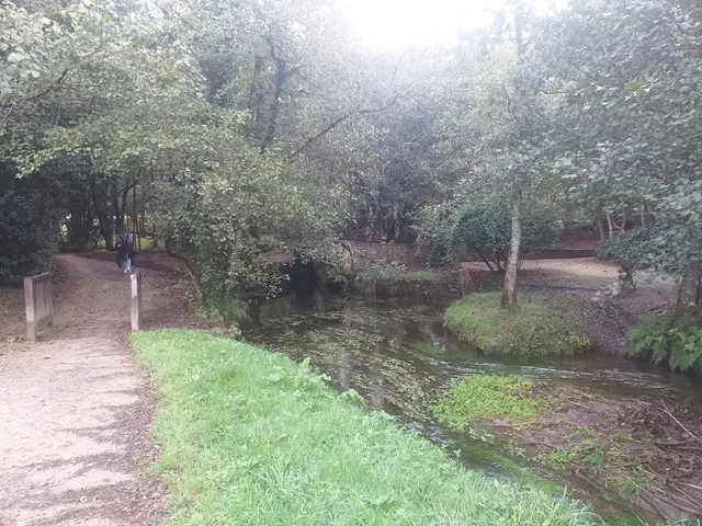 A Barciela (camino ingles)