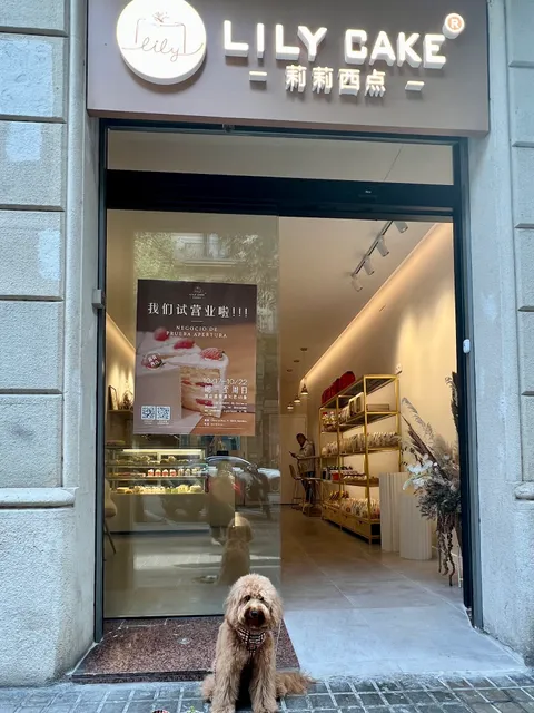 Pastelería Lily | Lily Cake 莉莉西点