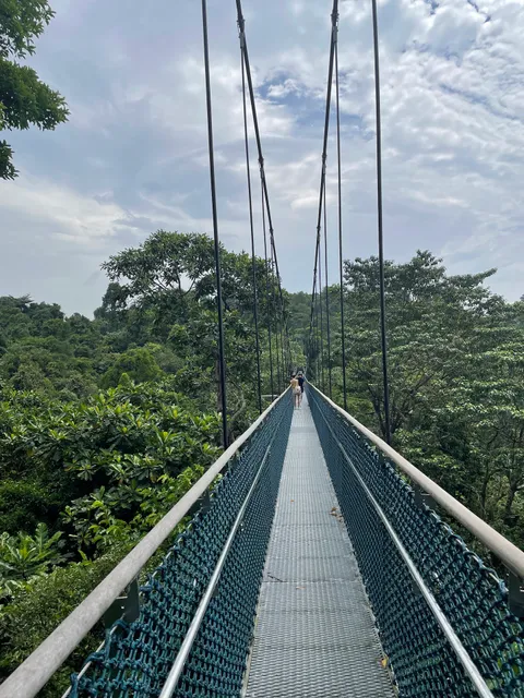 MacRitchie Nature Trail