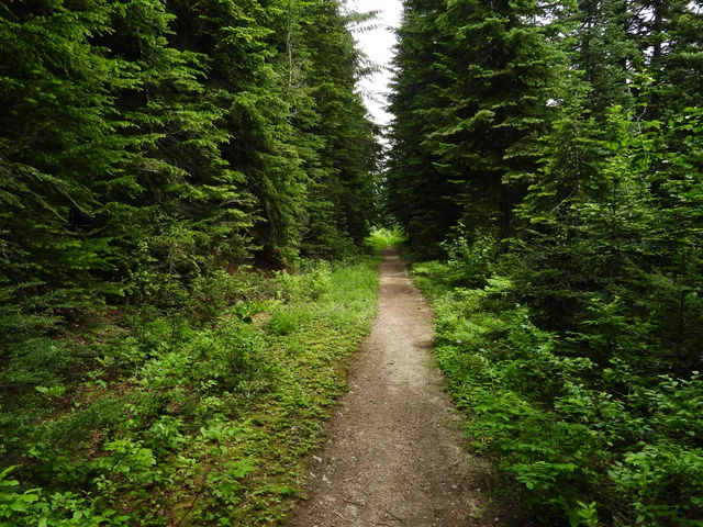 Pacific Crest - Stevens Pass North Trailhead