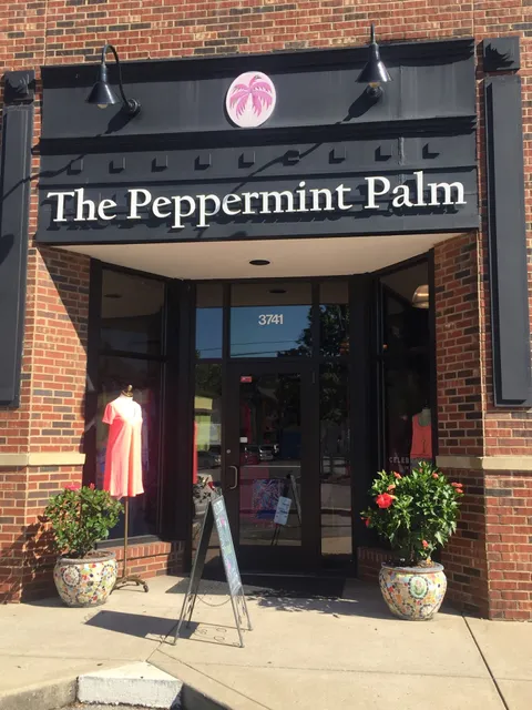 Peppermint Palm