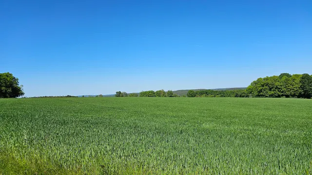 Ferienwohnung Blumenschein