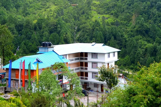 Delight Royal Lachen