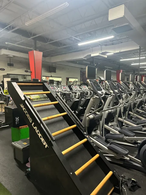 Tampa Family Fitness