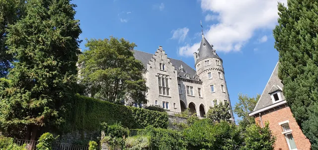 Les amis de l'ancien chateau comtal de Rochefort