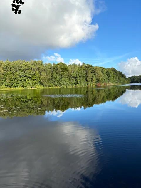 place image