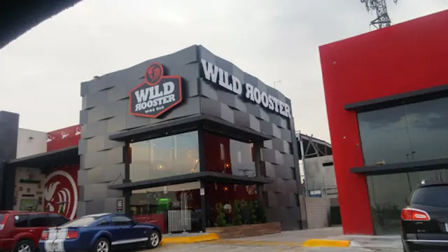 Wild Rooster La Cuesta