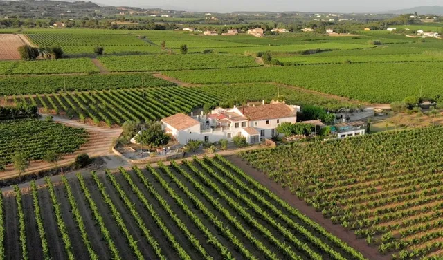 Soul Farm mas els Igols