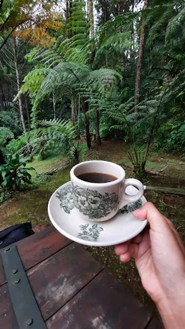 KOPIGEDE dh COFFEEGEDE