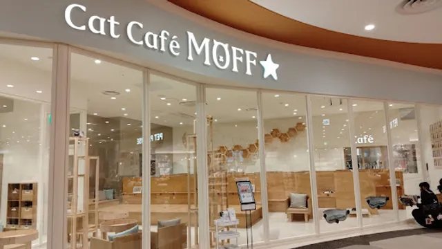 Cat Café MOFF AEON MALL Hiroshima Fuchu
