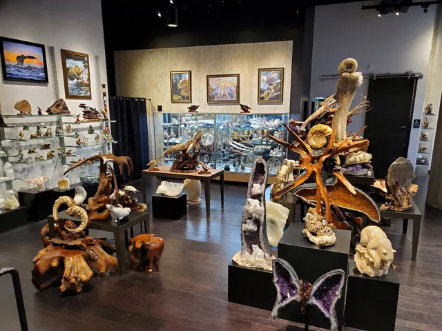 Fossil & Stone - Fine Art Gallery