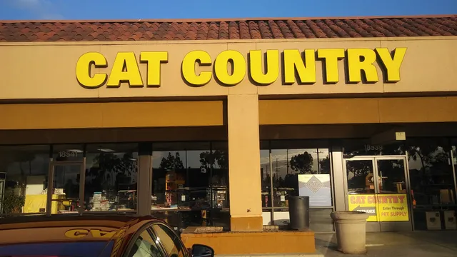 Cat Country