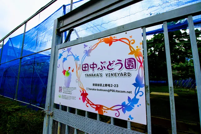 田中ぶどう園
