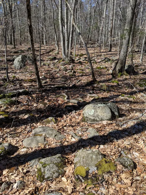 Rehoboth State Forest