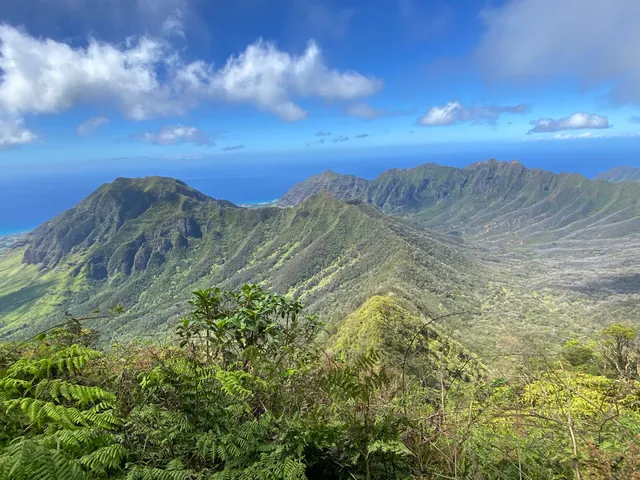 Mt. Kaʻala Hiking Trail