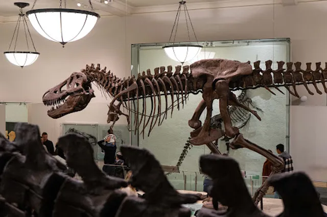 Hall of Saurischian Dinosaurs