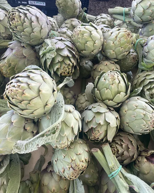 La Halle des Producteurs de Plan de Campagne