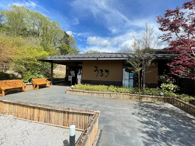 Lake Sagamiko Onsen "Ururi" Hot spring