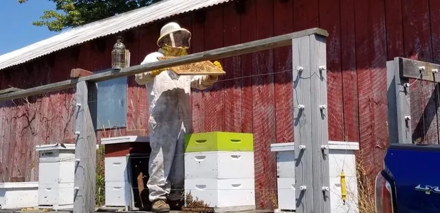 Kim And Andrews Farm Market