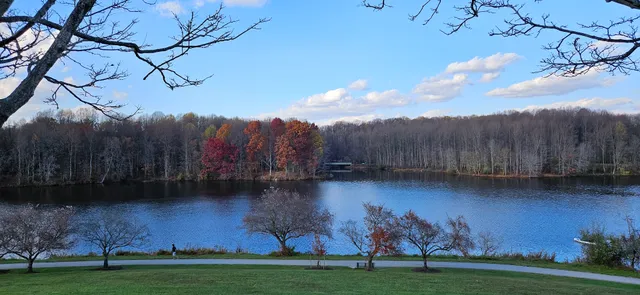 Centennial Park Pavilion F