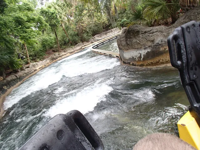 Congo River Rapids
