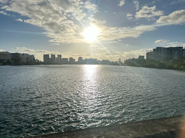 Parque de la Laguna del Condado