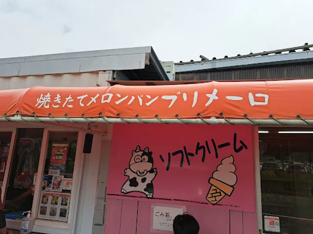 Purimerosodegaura Koen Maeten