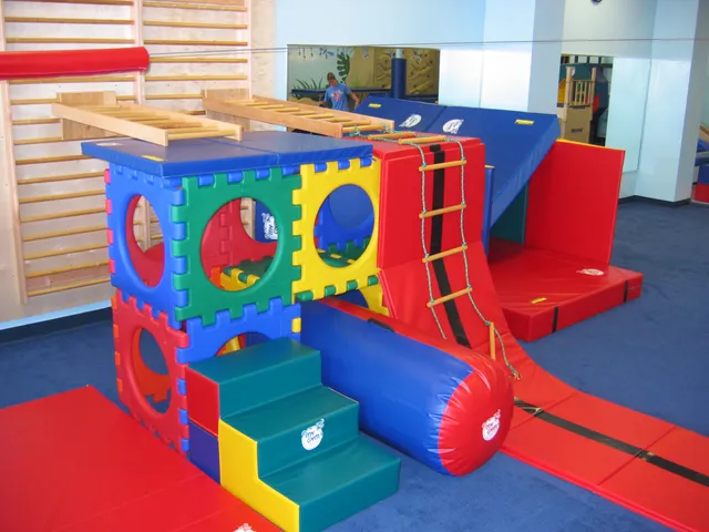My Gym Children's Fitness Center
