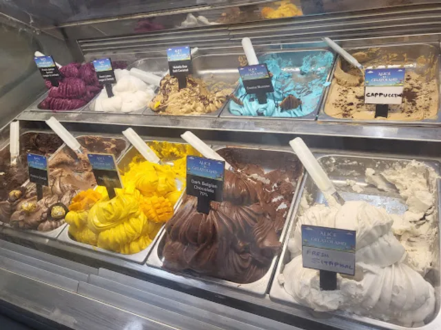 Alice In Gelatoland, Shahi Durbar