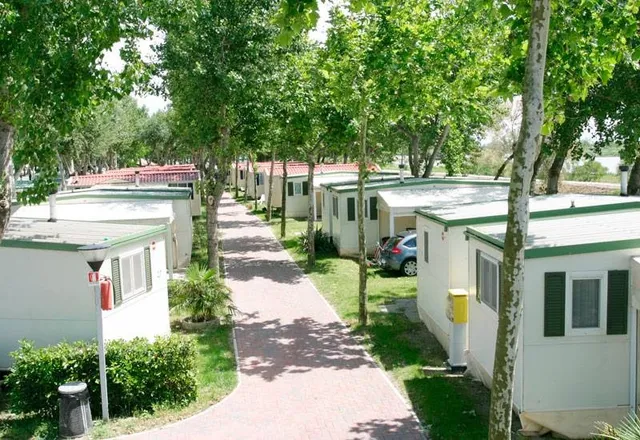 Camping Oasi