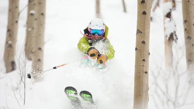 Apex Mountain School