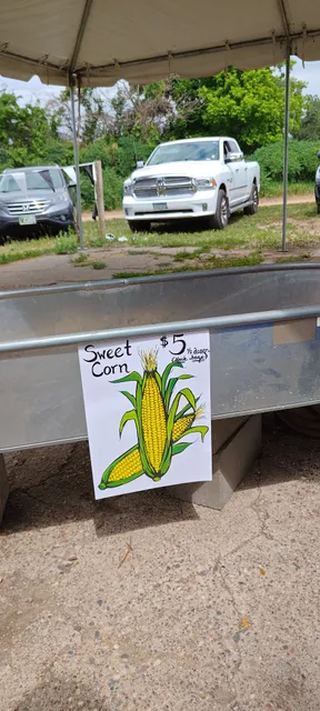 Fresh corn stand