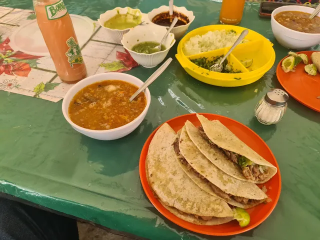 El Borrego de Oro Santa Lucía