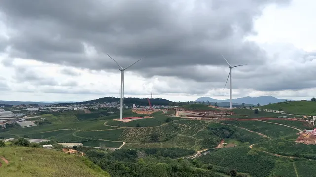 The Coffee Farm Cầu Đất
