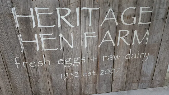 Heritage Hen
